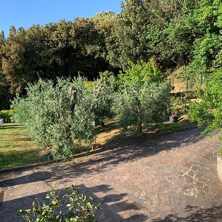 Chianti Art Room Поджибонси Экстерьер фото